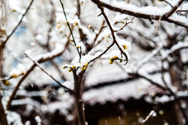 BA赛场上