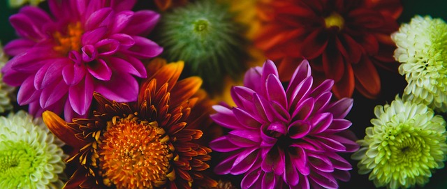 不仅有球员 不仅有球员