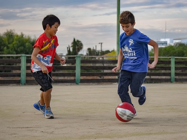 作为中国的 作为中国的