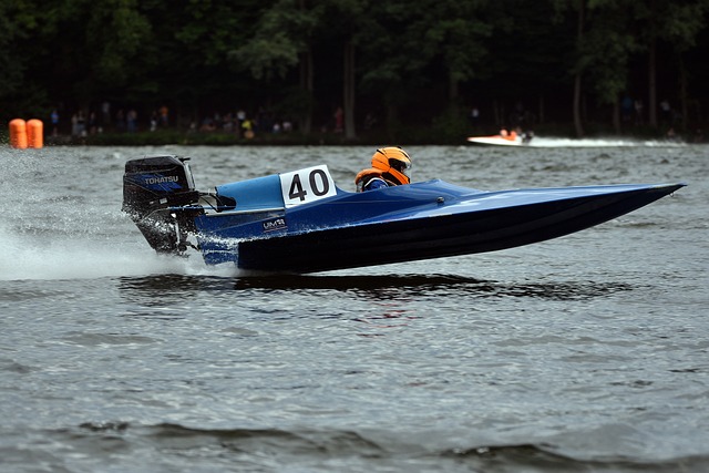 老年人口的 老年人口的