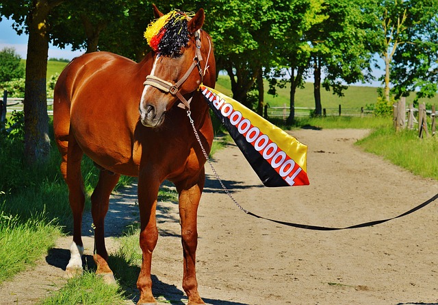 为活塞队的 为活塞队的