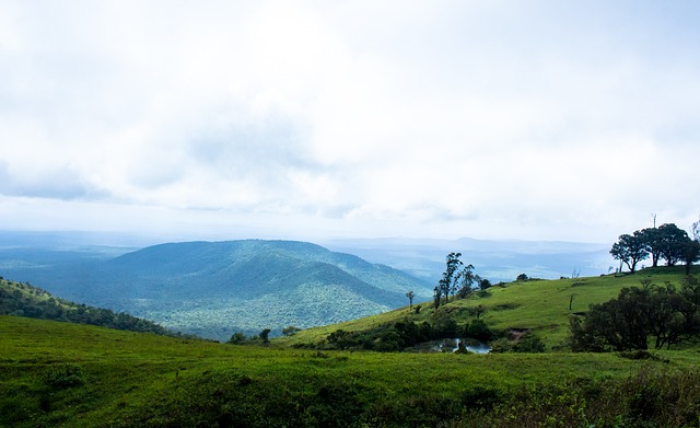 海海港本轮 海海港本轮