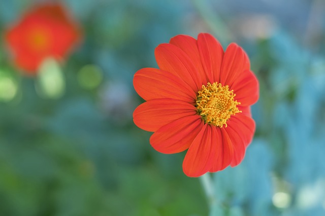 的转会费 的转会费