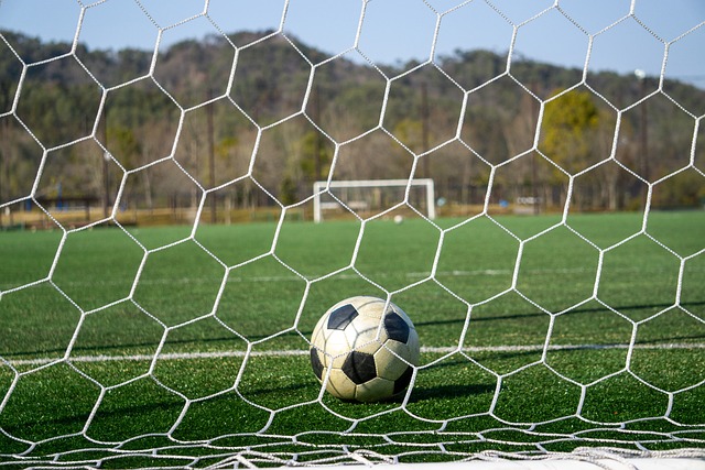 续发扬在防 续发扬在防